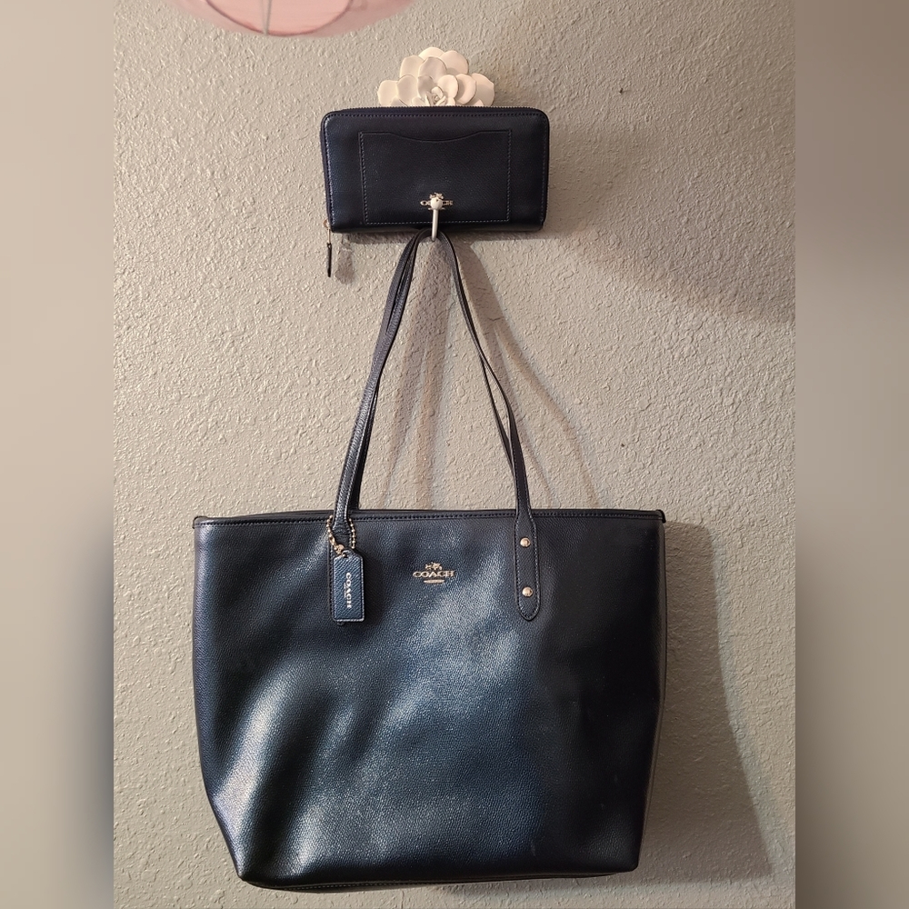 Coach Purse and Wallet